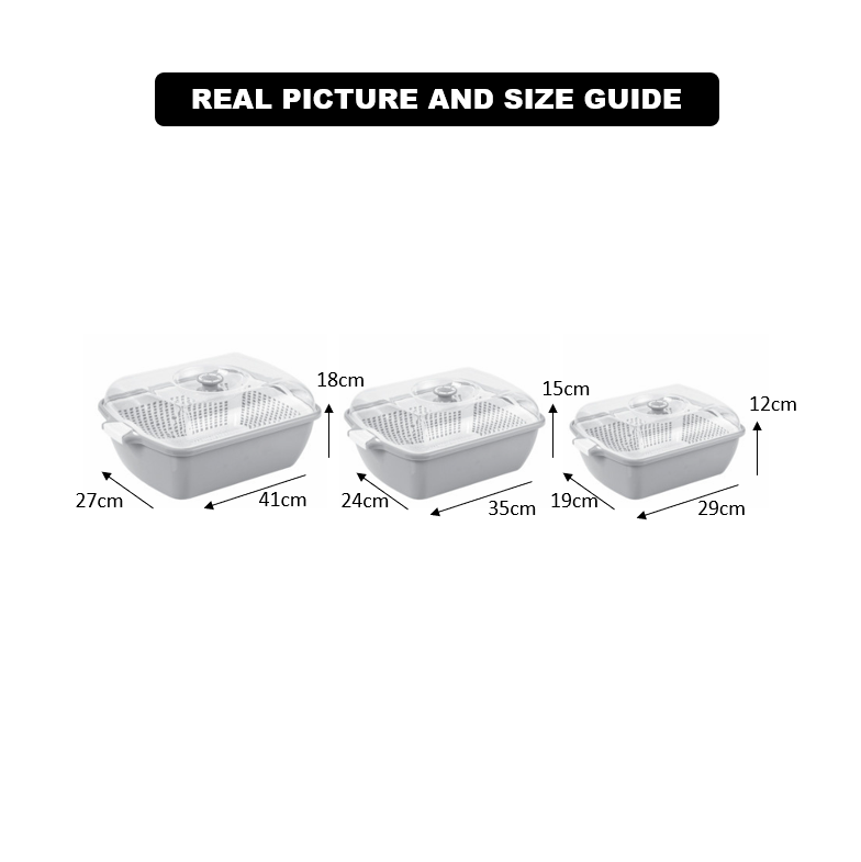 DailyFresh Clear-Lid Storage Box